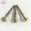 Truss Head Phillips Recess Screw / Handle Screw